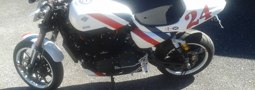 XR 1200 Harley Trofeo bianca a bande rosse e blu 