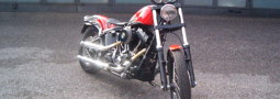 Special T Harley Davidson rossa metallizzata con inserti argento