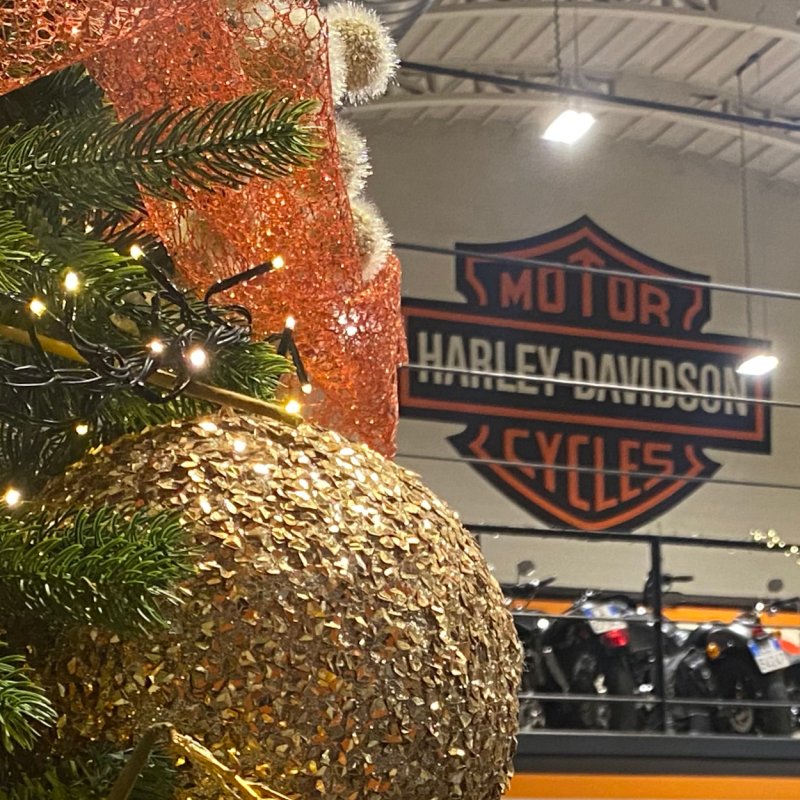 Chiusura natalizia: dal 24-12 al 07-01