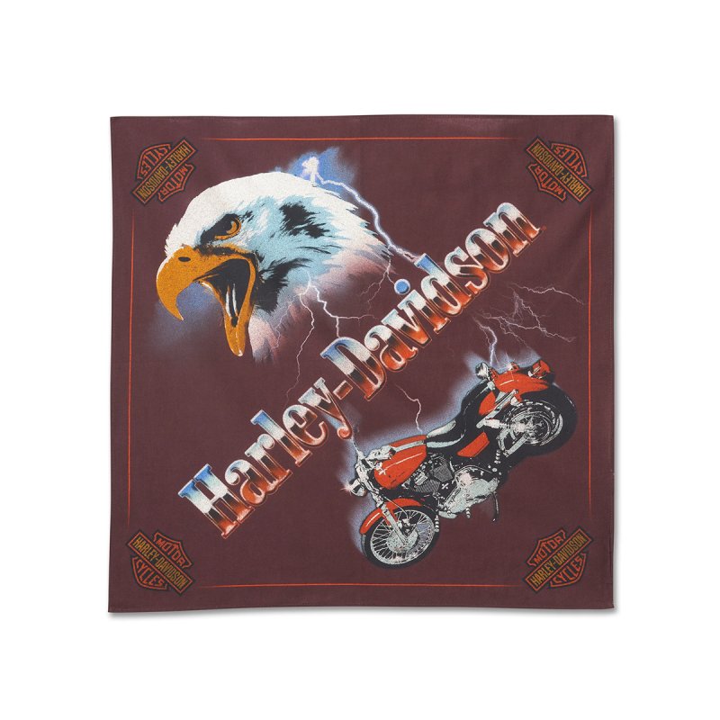 Bandana H-D Eagle Rider Sassafras in cotone edizione limitata