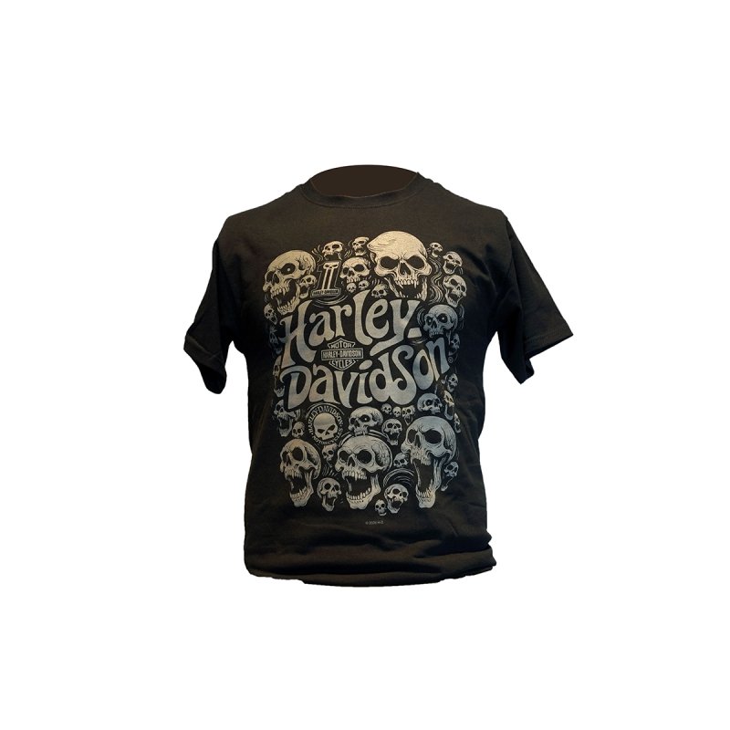 T-shirt uomo H-D Brescia